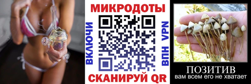 Псилоцибиновые грибы прущие грибы Сясьстрой