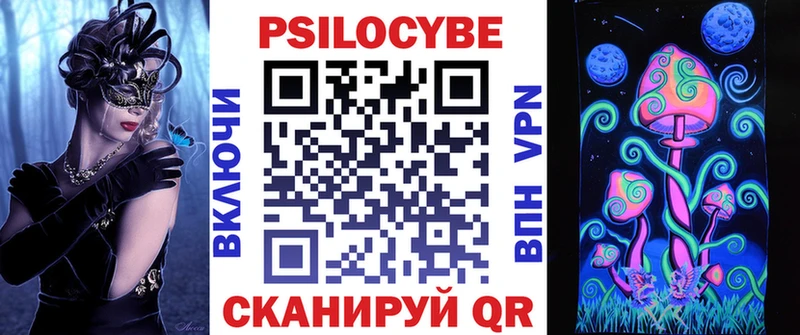 Галлюциногенные грибы Psilocybe  Сясьстрой 